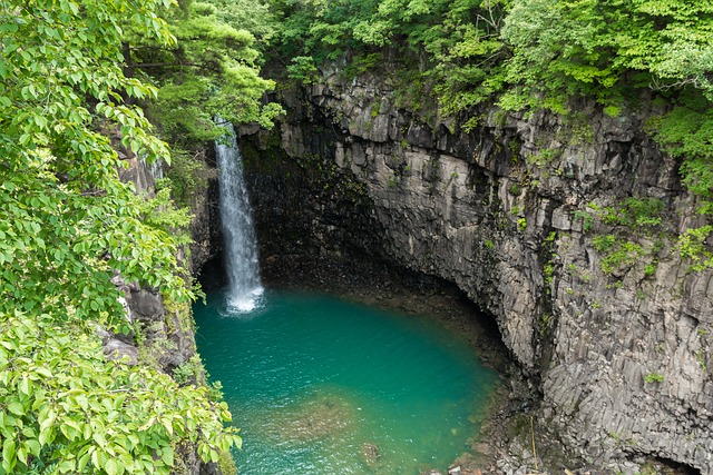 waterfall, ash falls, tree