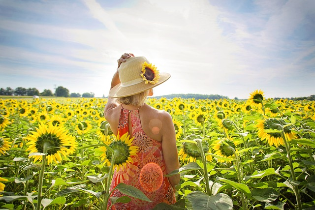 woman, sunflowers, nature