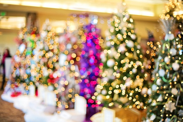 christmas trees, lights, twinkle