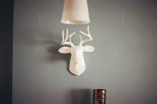 deer, antlers, mount